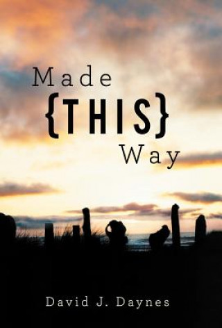 Buch Made This Way David J Daynes