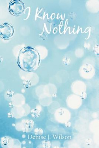 Livre I Know Nothing Denise J Wilson