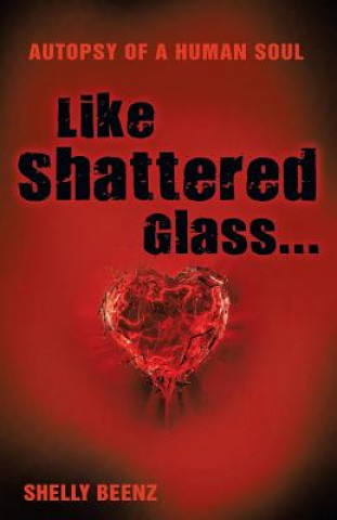 Kniha Like Shattered Glass... Shellybeenz