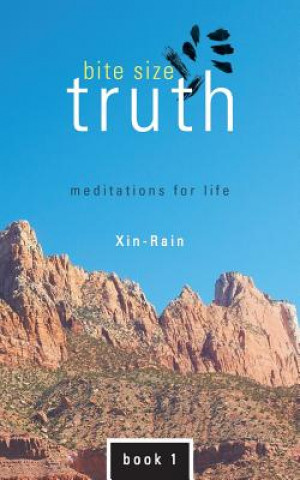 Knjiga Bite Size Truth Xin-Rain