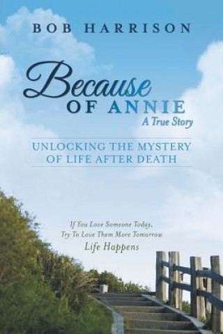 Könyv Because of Annie Bob Harrison