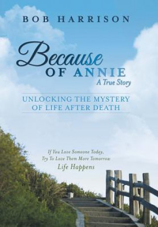 Kniha Because of Annie Bob Harrison
