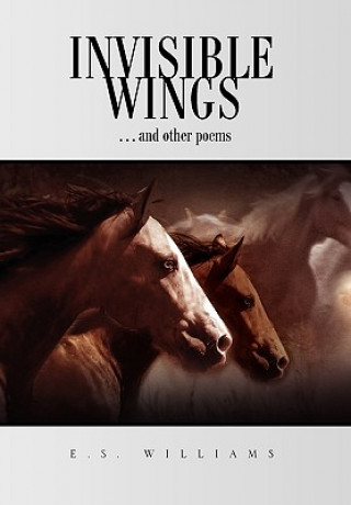 Carte Invisible Wings E S Williams