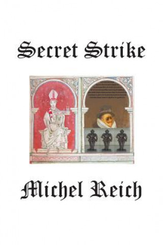 Knjiga Secret Strike Michel Reich