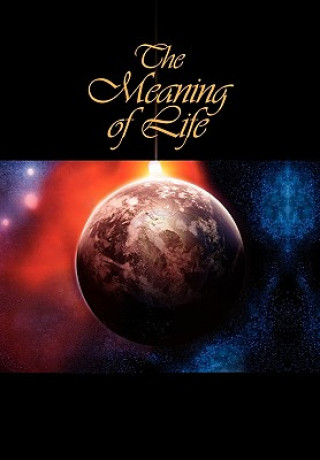 Kniha Meaning of Life J R Pen