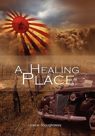 Kniha Healing Place Joyce Shaughnessy