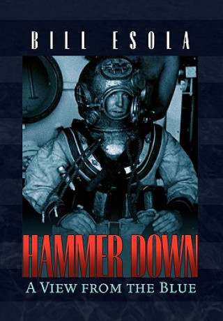 Boek Hammer Down Bill Esola
