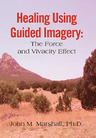 Könyv Healing Using Guided Imagery John M Marshall Ph D