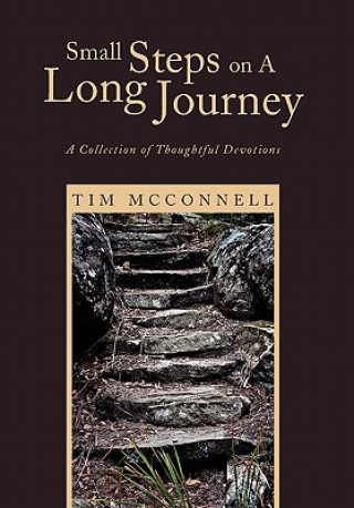 Kniha Small Steps on A Long Journey Tim McConnell