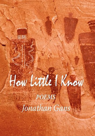 Book How Little I Know Jonathan Gans