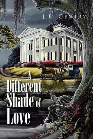 Carte Different Shade of Love J B Gentry