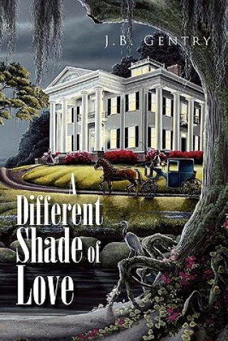 Книга Different Shade of Love J B Gentry