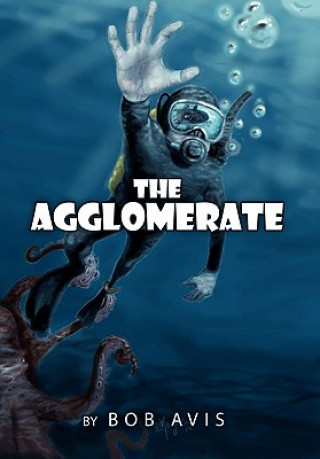 Knjiga Agglomerate Bob Avis
