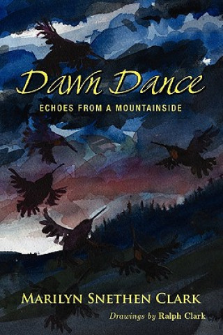 Kniha Dawn Dance Marilyn Snethen Clark