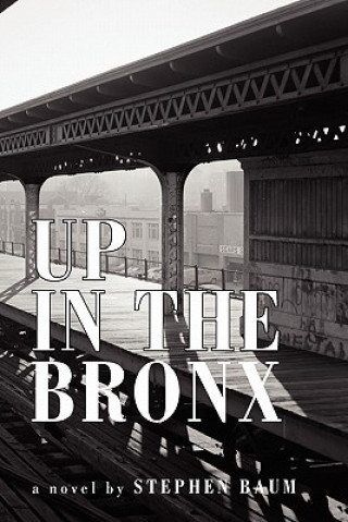 Kniha Up in the Bronx Stephen Baum