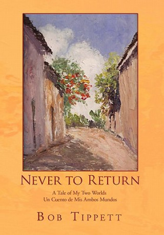 Könyv Never to Return Bob Tippett