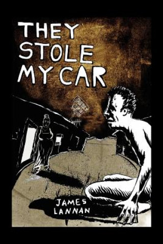 Kniha They Stole My Car James Lannan