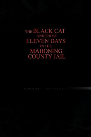 Kniha Black Cat and Those Eleven Days in the Mahoning County Jail Grigore Iosifescu