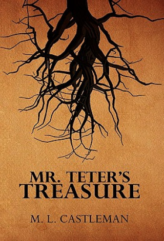 Książka Mr. Teter's Treasure M L Castleman