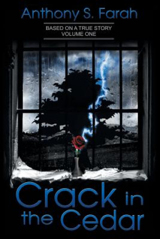 Buch Crack in the Cedar Anthony Farah