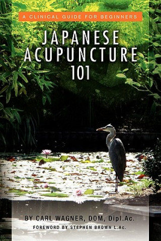 Książka Japanese Acupuncture 101 Carl Dom Dipl Ac Wagner