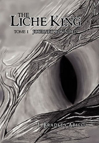 Buch Liche King J Bradley Arico