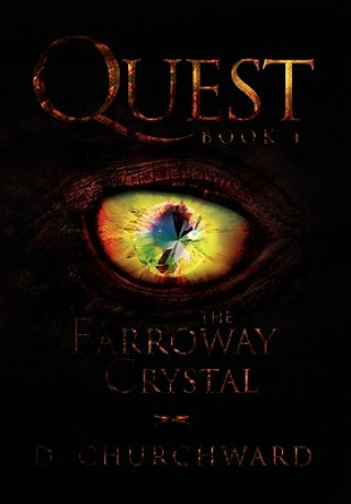 Knjiga Quest Book 1 D Churchward