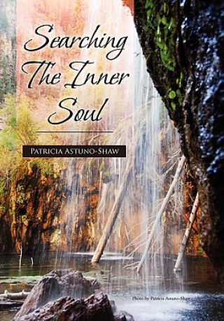 Kniha Searching the Inner Soul Patricia Astuno-Shaw