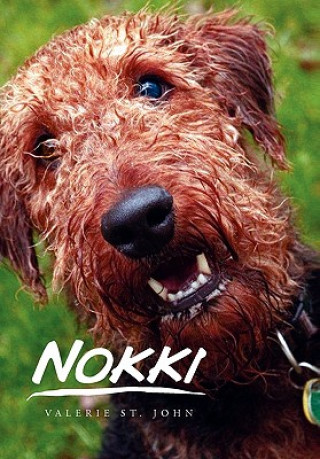 Libro Nokki Valerie St John
