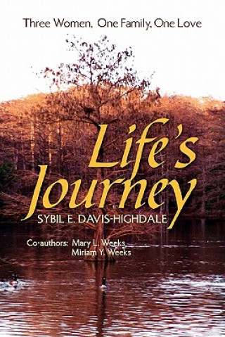 Könyv Life's Journey Sybil E Davis-Highdale