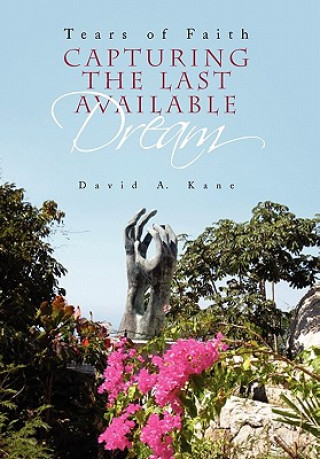 Buch Capturing the Last Available Dream David A Kane