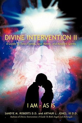 Kniha Divine Intervention II III D D Arthur L Jones