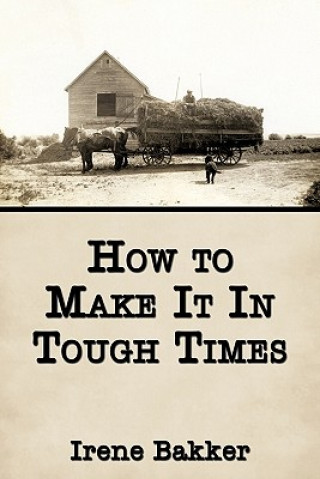 Book How to Make It In Tough Times Irene Bakker