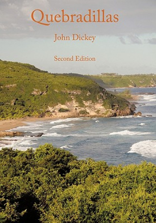 Kniha Quebradillas John Dickey