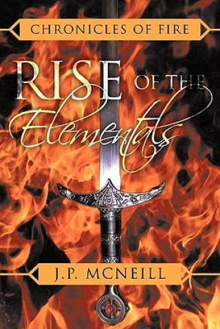 Libro Chronicles of Fire J P McNeill