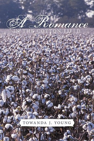 Kniha Romance in The Cotton Field Towanda J Young