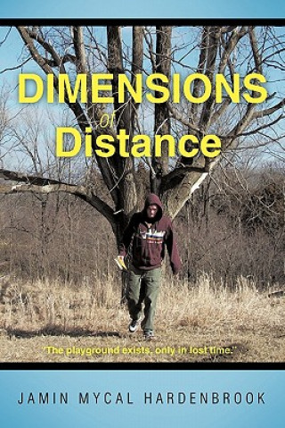 Kniha Dimensions of Distance Jamin Mycal Hardenbrook