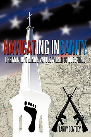 Книга Navigating Insanity Larry Bentley