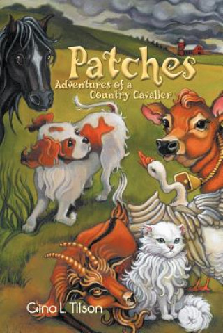Knjiga Patches Gina L Tilson