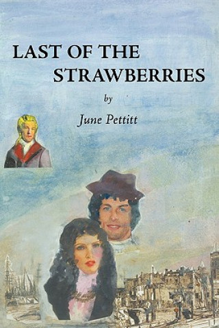 Kniha Last of the Strawberries June Pettitt
