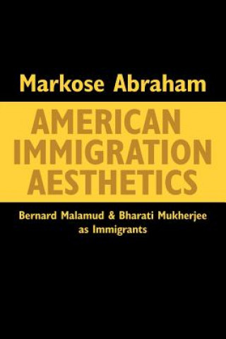 Könyv American Immigration Aesthetics Markose Abraham