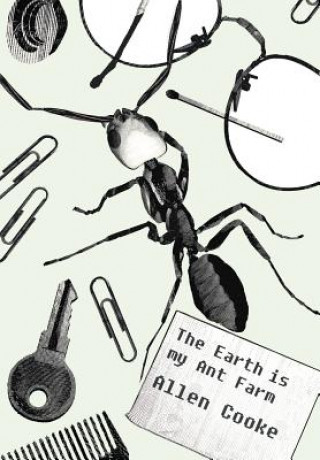 Kniha Earth is My Ant Farm Allen Cooke