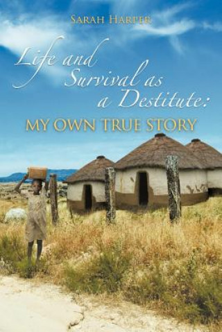 Livre Life and Survival as a Destitute Harper