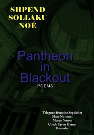 Книга Pantheon in Blackout Shpend Sollaku Noe