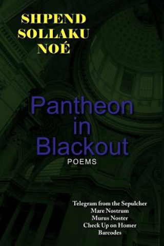 Buch Pantheon in Blackout Shpend Sollaku Noe