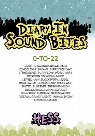 Książka Diary in Sound Bites Connie Hess