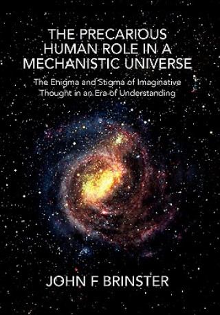 Könyv Precarious Human Role in a Mechanistic Universe John F Brinster
