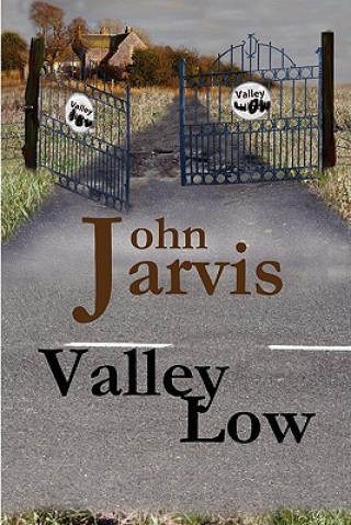 Kniha Valley Low Jarvis