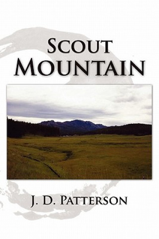 Kniha Scout Mountain J D Patterson