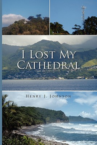 Kniha I Lost My Cathedral Henry J Johnson